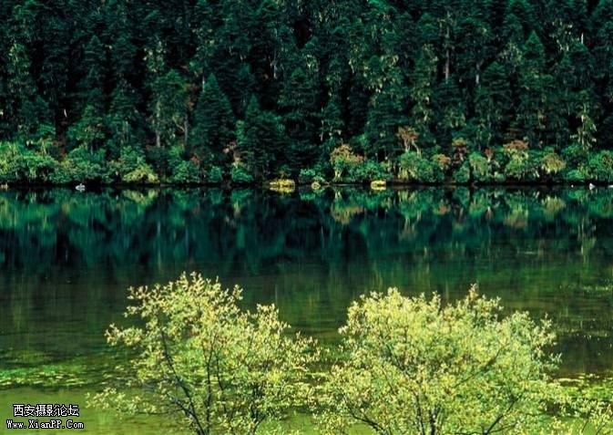 DJS09-673x477.jpg DJS09-673x477.jpg