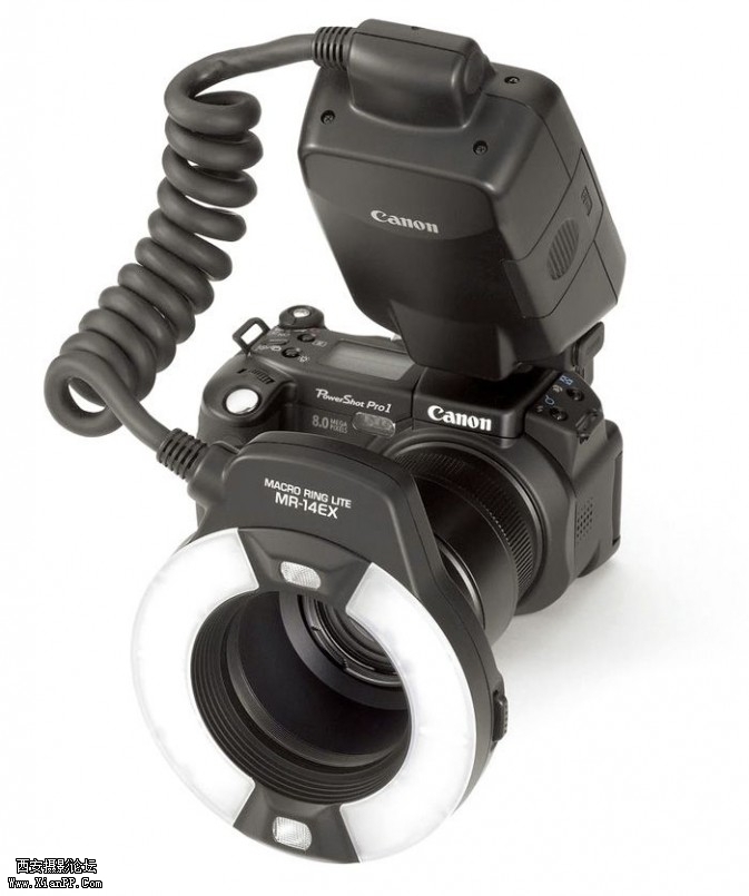 flowers71-673x805.jpg flowers71-673x805.jpg