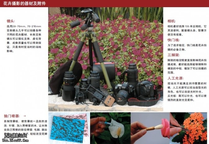 flowers20-673x463.jpg flowers20-673x463.jpg