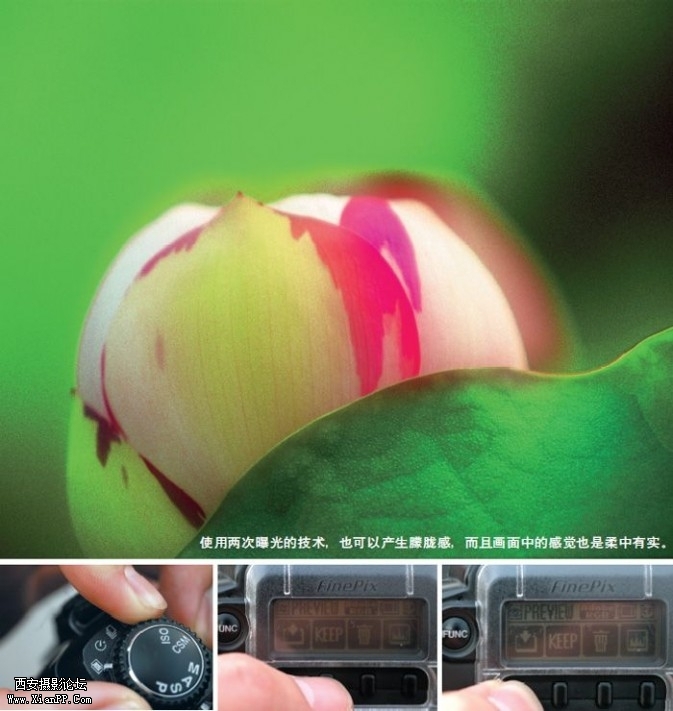 flowers26-673x711.jpg flowers26-673x711.jpg