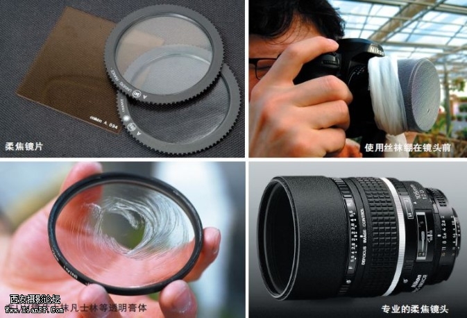 flowers19-673x458.jpg flowers19-673x458.jpg