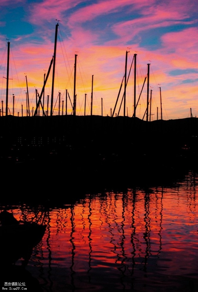 RS2-673x991.jpg RS2-673x991.jpg