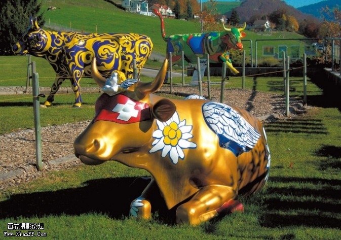 RS6-673x473.jpg RS6-673x473.jpg