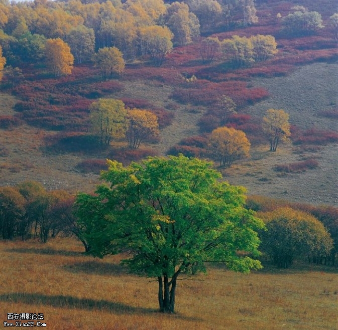 airl7-673x658.jpg airl7-673x658.jpg