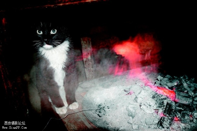 red11-673x449.jpg red11-673x449.jpg