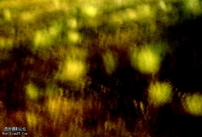 YX6-673x458.jpg YX6-673x458.jpg