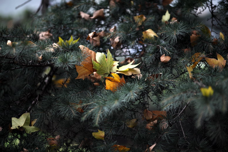 1106 LTY5471_调整大小.JPG