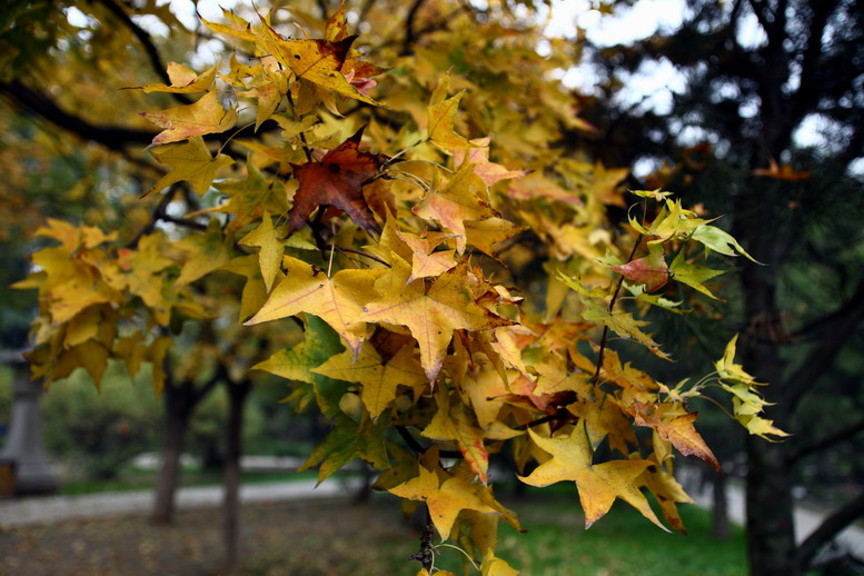 1106 LTY5511_调整大小.JPG