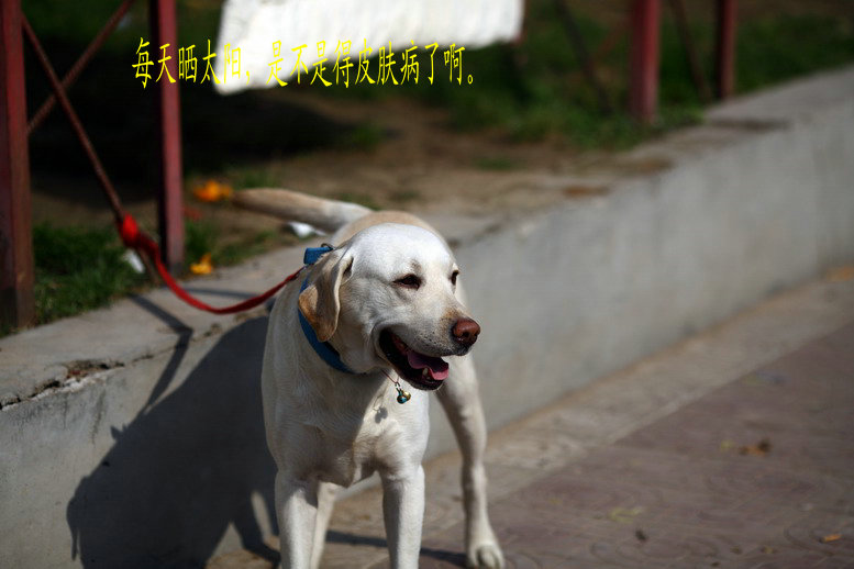 11095542_调整大小.JPG