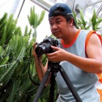 plant3-150x150.jpg plant3-150x150.jpg