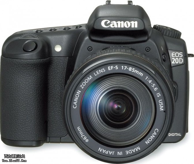 plant10-673x570.jpg plant10-673x570.jpg