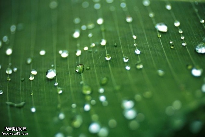 plant21-673x448.jpg plant21-673x448.jpg