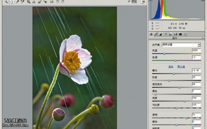 plant31-673x419.jpg plant31-673x419.jpg