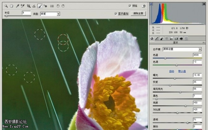 plant32-673x421.jpg plant32-673x421.jpg