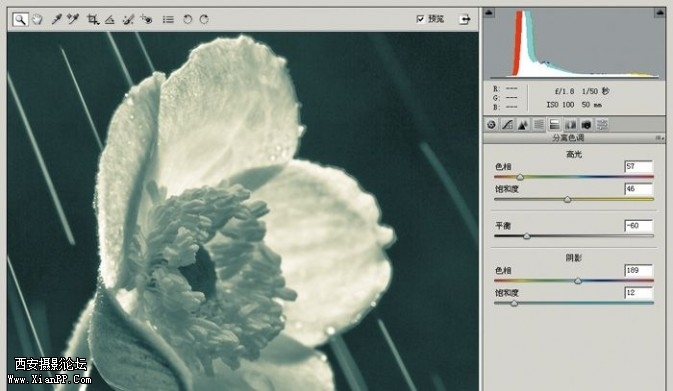 plant34-673x391.jpg plant34-673x391.jpg