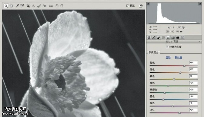 plant33-673x388.jpg plant33-673x388.jpg