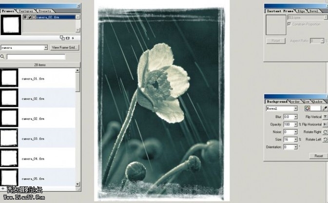 plant36-673x416.jpg plant36-673x416.jpg