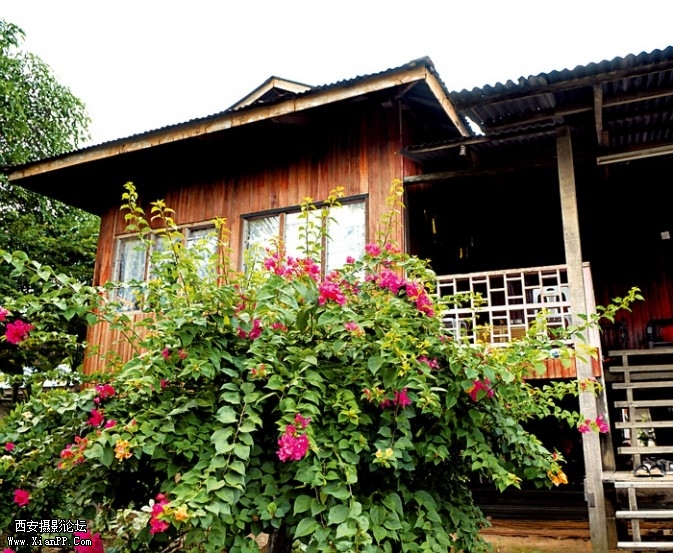 JS8-673x553.jpg JS8-673x553.jpg