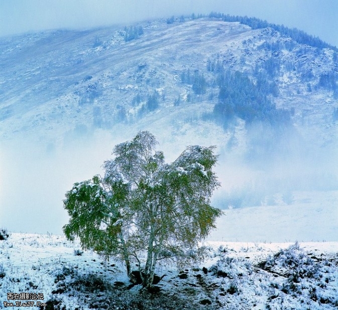 HM05-673x617.jpg HM05-673x617.jpg