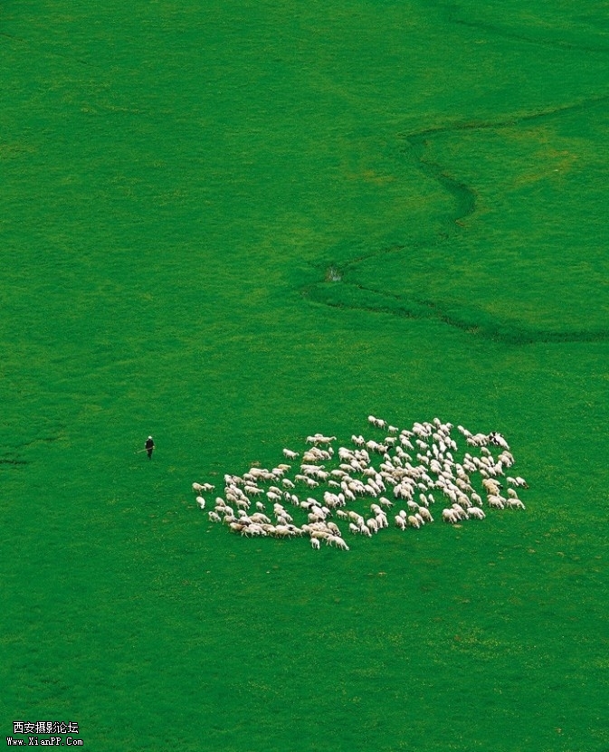 yybs01-673x831.jpg yybs01-673x831.jpg