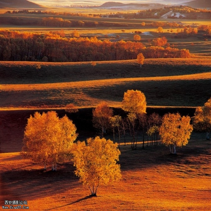 yybs02-673x673.jpg yybs02-673x673.jpg