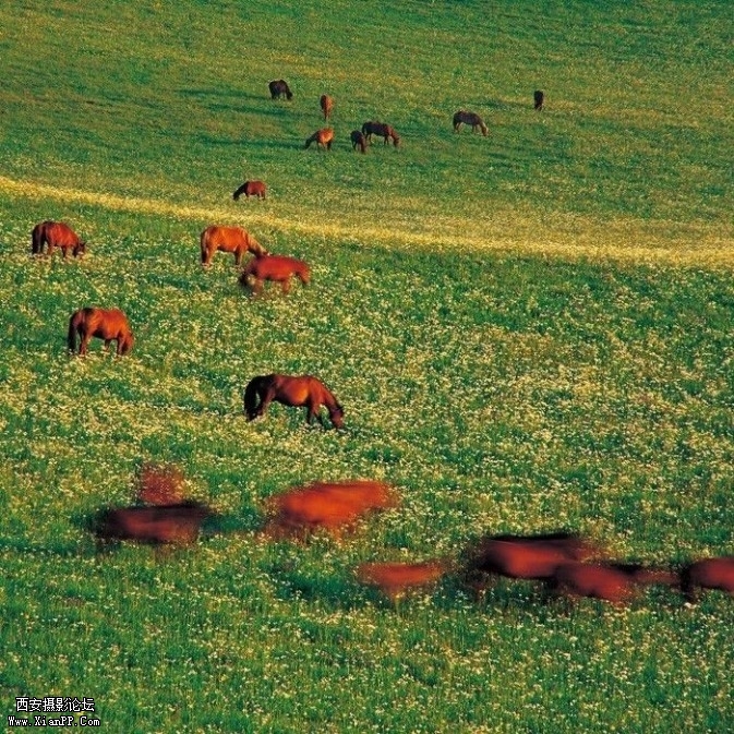 yybs03-673x673.jpg yybs03-673x673.jpg