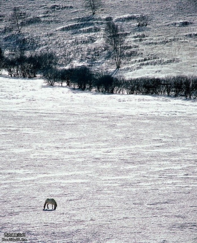 yybs04-673x831.jpg yybs04-673x831.jpg