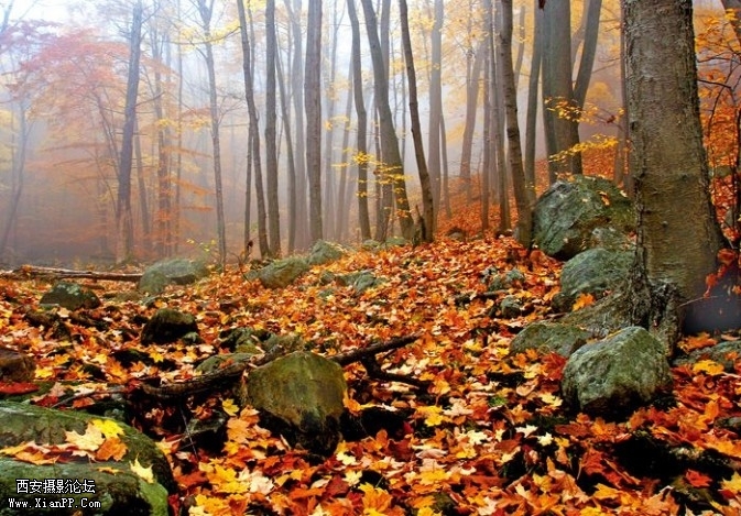 GZ05-673x469.jpg GZ05-673x469.jpg