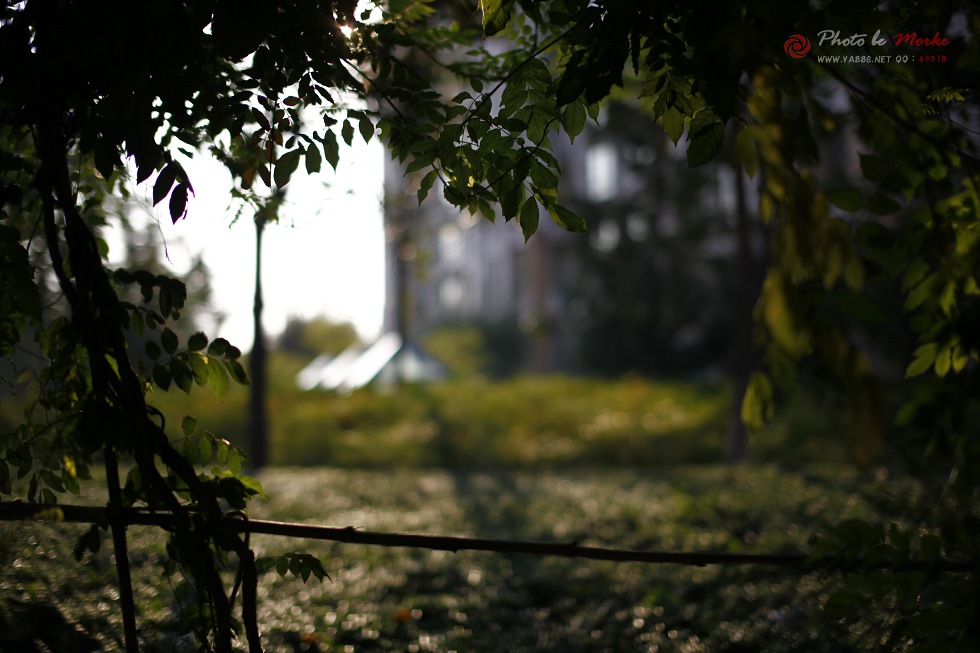 _MG_4146a.jpg
