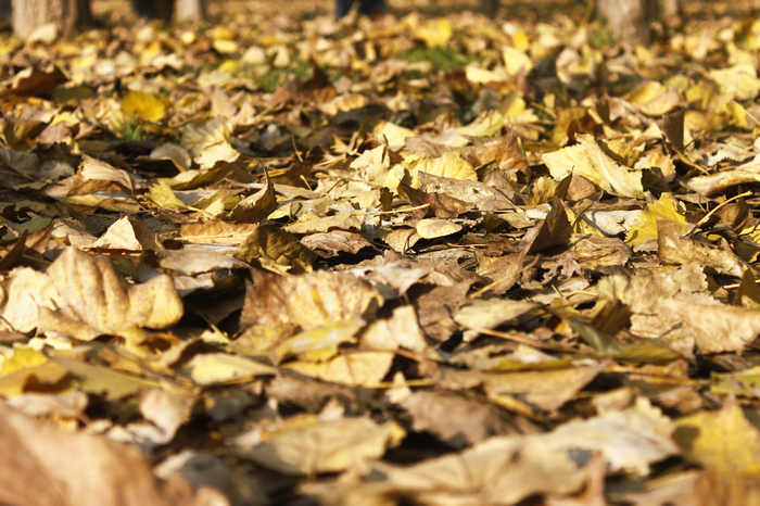 _MG_8189.jpg