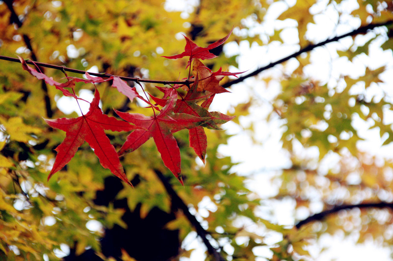 照片 294_副本_副本.jpg