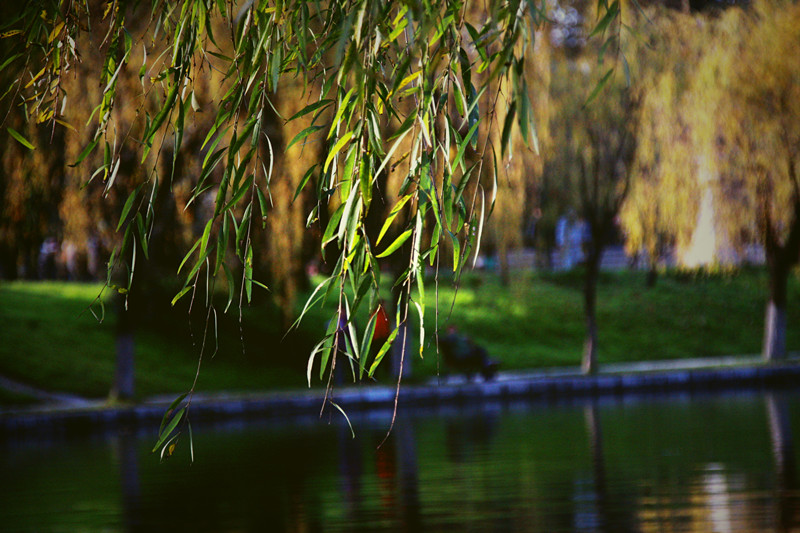 照片 069_副本_副本.jpg