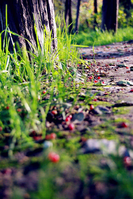 照片 090_副本_副本.jpg