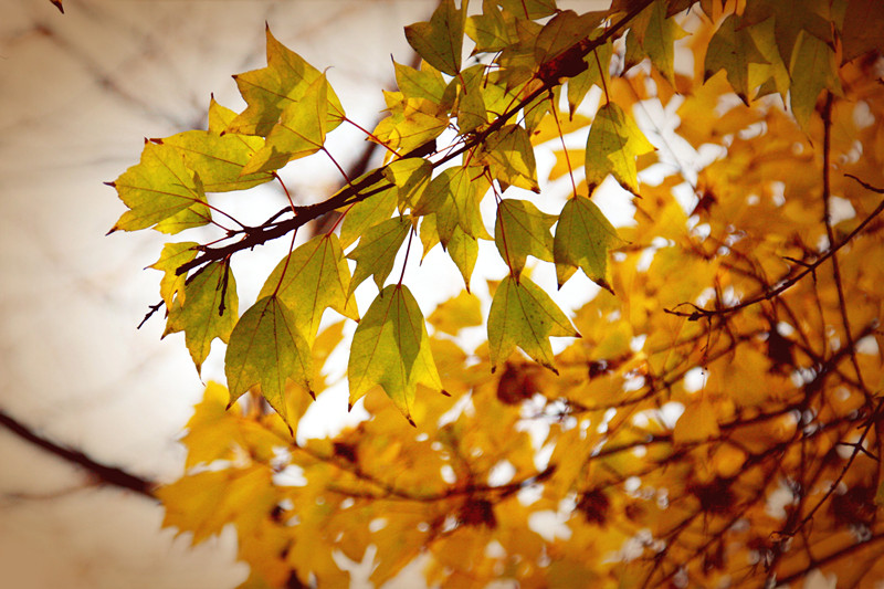 照片 117_副本_副本.jpg