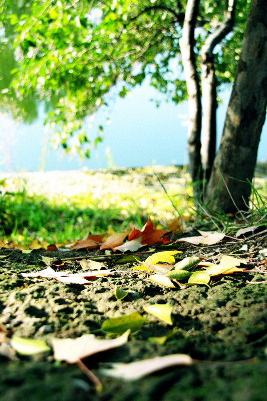 照片 130_副本_副本.jpg