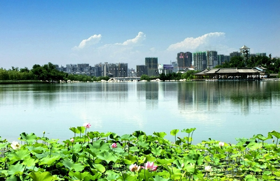 曲江06c.jpg
