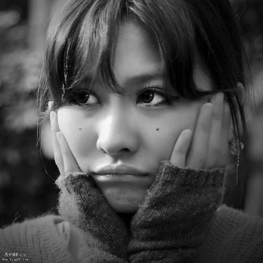 DSC_0415.jpg