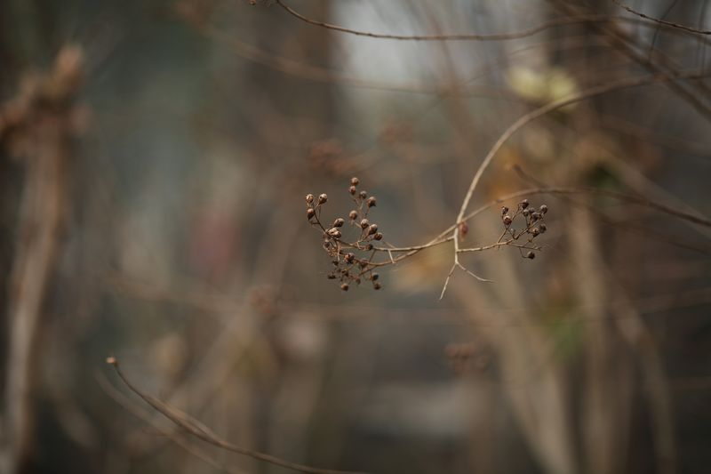 nEO_IMG_1127我和小刘7200.jpg