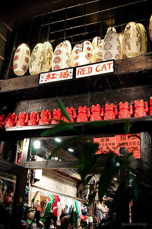 DSC_0978-17_副本.jpg