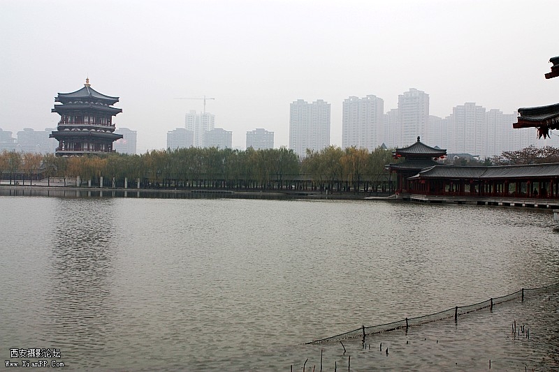 conew_img_1607.jpg
