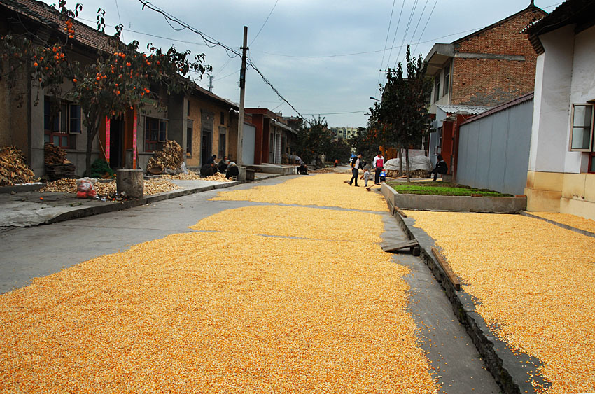j11.jpg