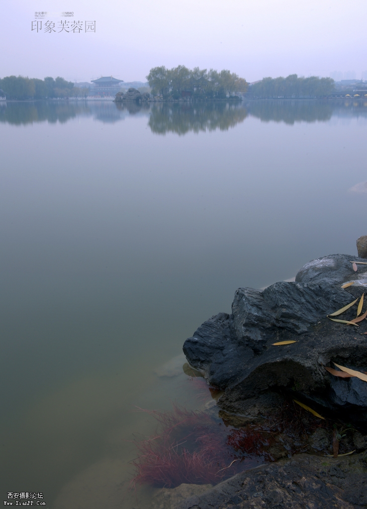 DSC_9716-1.jpg