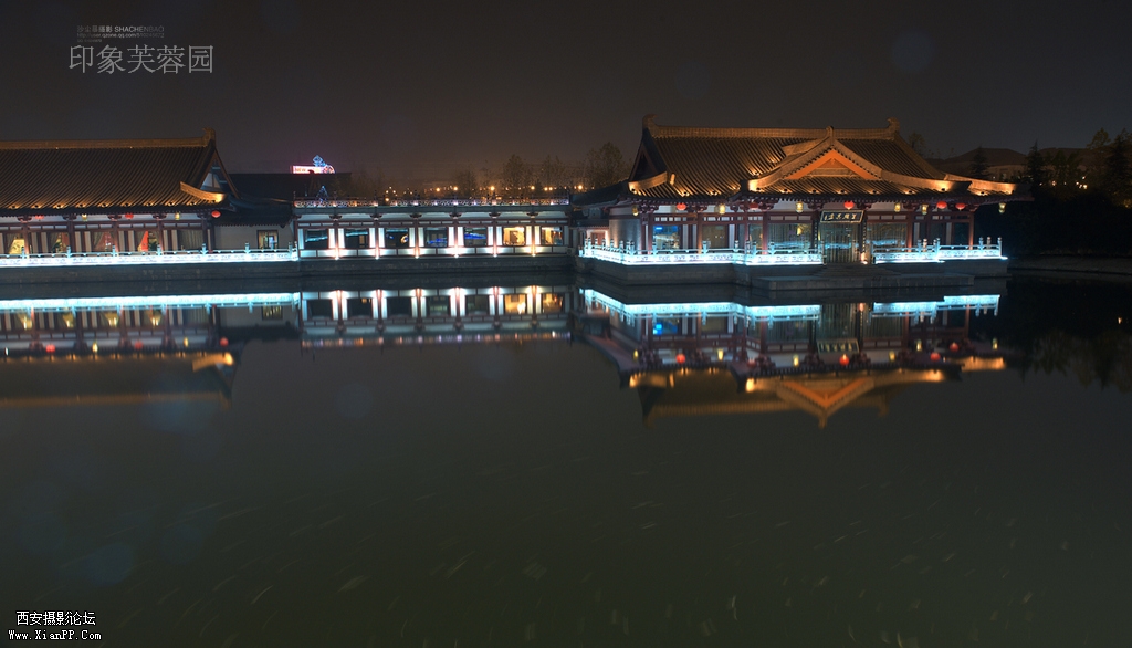 DSC_9757-1.jpg