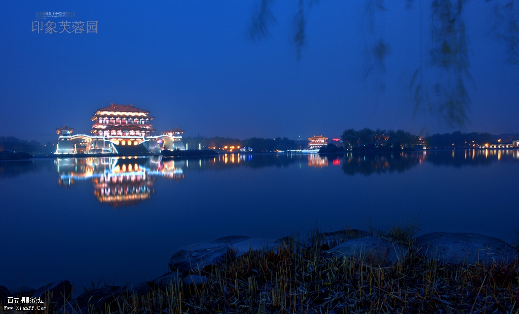 DSC_9724-1.jpg