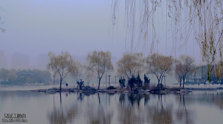 水墨芙蓉园.jpg