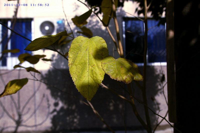 12087484_调整大小.JPG
