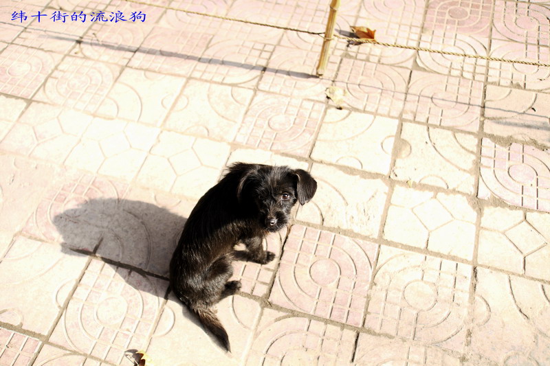 12087488_调整大小.JPG