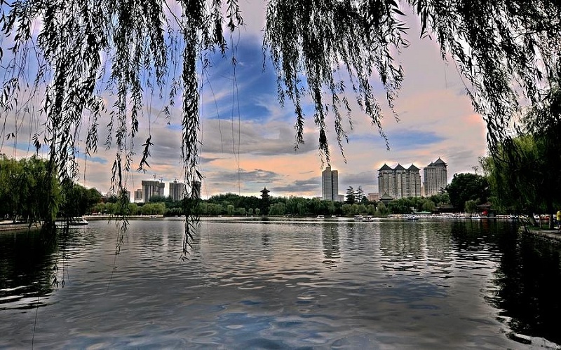 07.jpg