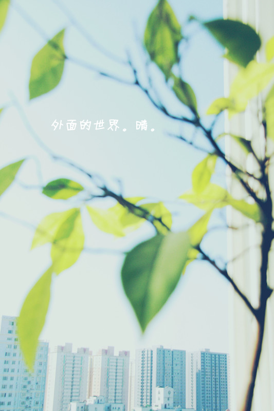 照片 017_副本_副本.jpg
