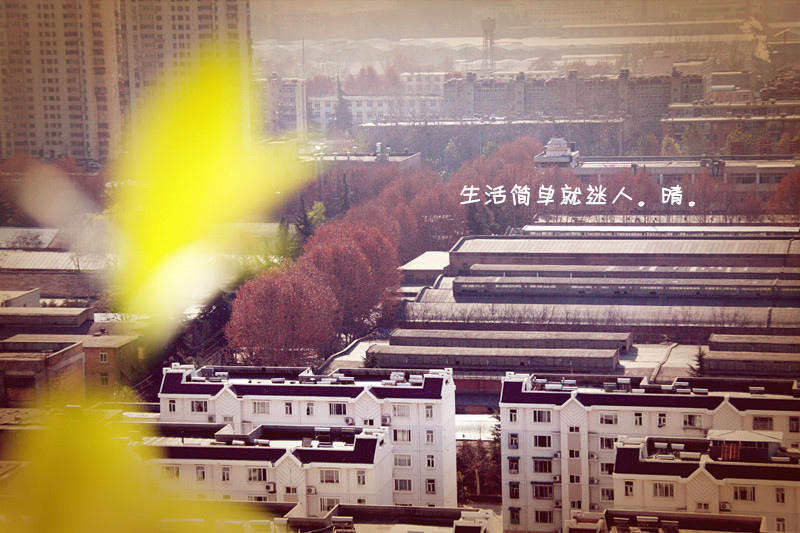 照片 070_副本_副本.jpg